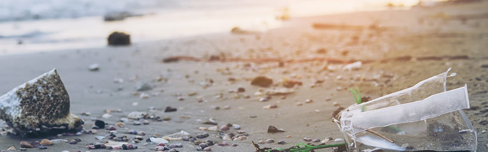 Trash on sand beach showing environmental pollution problem